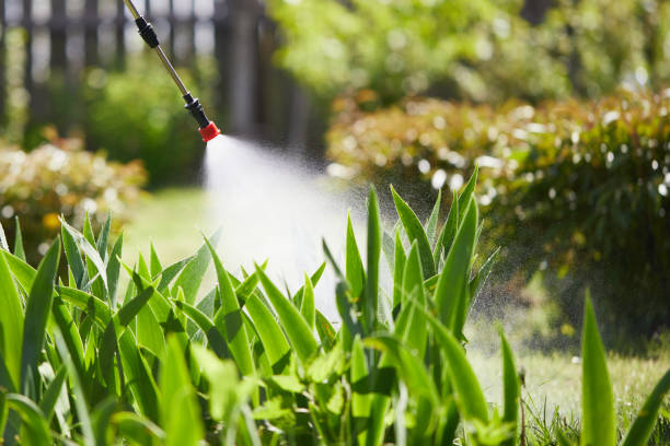 Tamper-Resistant Bait Stations for Rodents in West Lake Hills