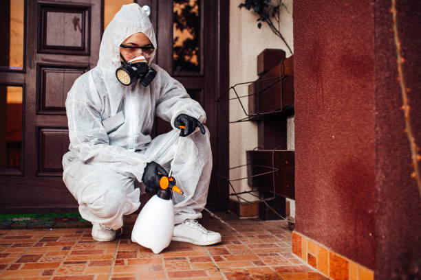 Attic and Crawl Space Rodent Treatment in West Lake Hills